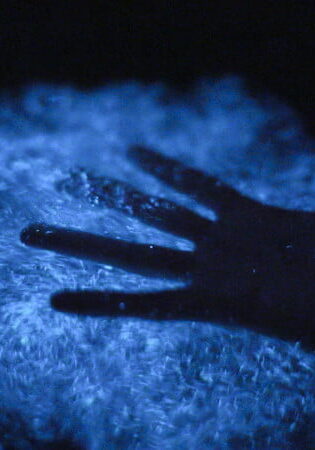 IMG_2354 IMG_2354